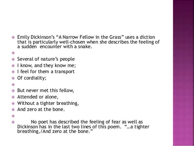 narrow fellow A discussion of important themes running throughout a narrow fellow in the grass great supplemental information for school essays and projects. narrow fellow A discussion of important themes running throughout a narrow fellow in the grass great supplemental information for school essays and projects.